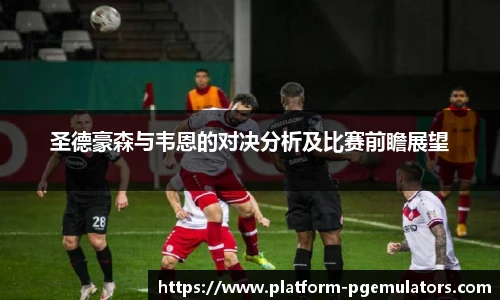 圣德豪森与韦恩的对决分析及比赛前瞻展望